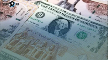 استقرار سعر الدولار اليوم الخميس 20 نوفمبر 2025 في البنوك والسوق الموازية الآن